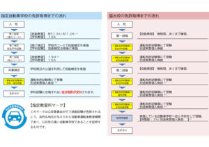🏫【徹底解説】自動車学校の「指定校」と「届け出校」の違いとは？